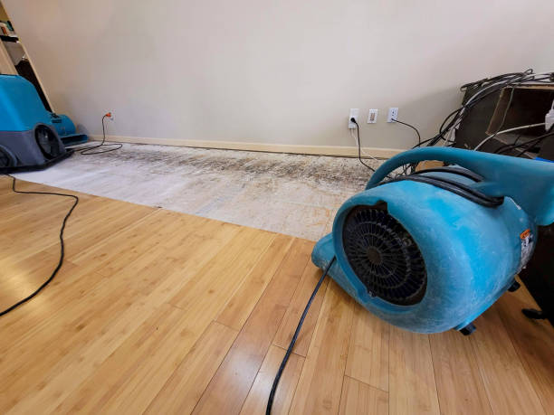 Professional Basement Flood Cleanup technician working in Kapaau, HI